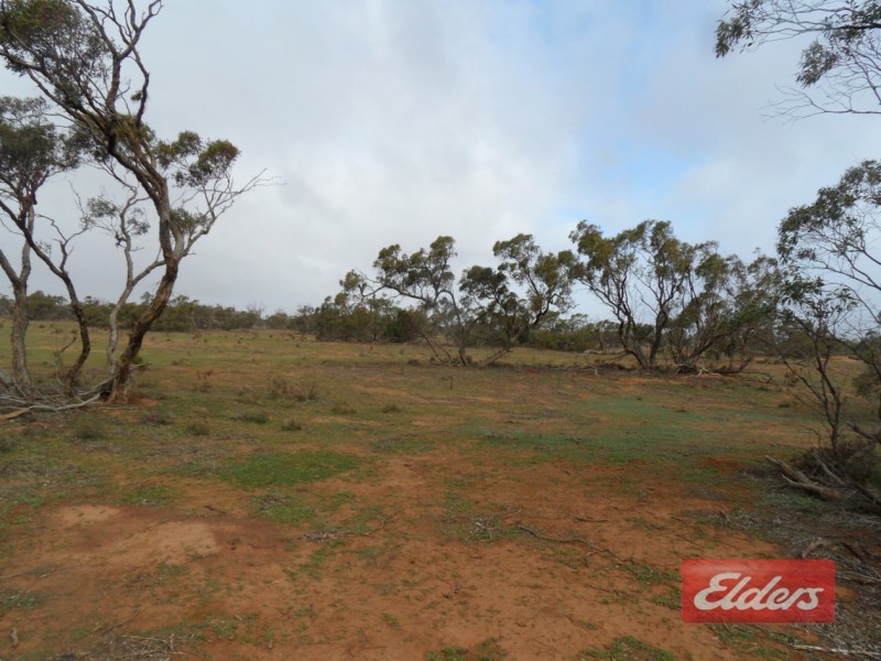 Section 36 Off Swamp Road, Truro SA 5356