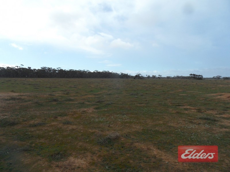 Section 36 Off Swamp Road, Truro SA 5356