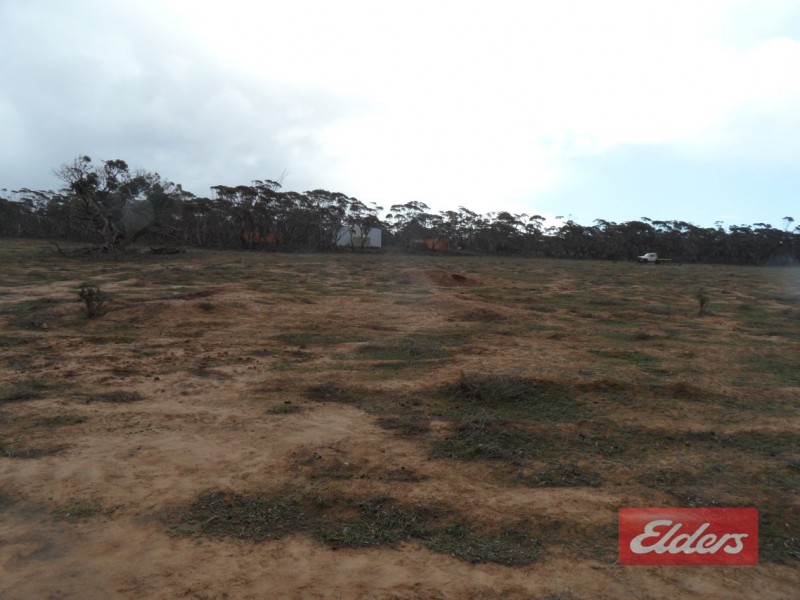 Section 36 Off Swamp Road, Truro SA 5356