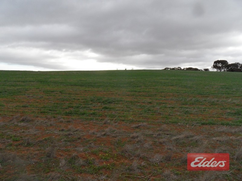 71 Warnes Road, Mannum SA 5238