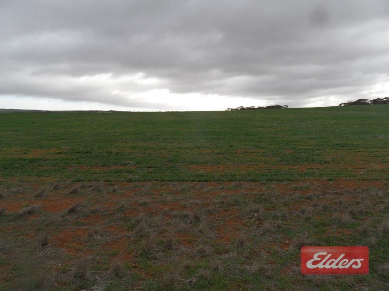 71 Warnes Road, Mannum SA 5238