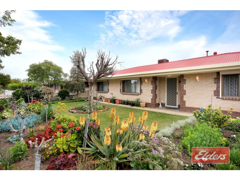 6 Barkley Crescent, Willaston SA 5118