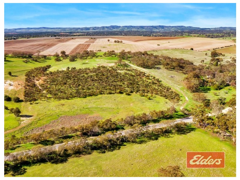 Lot 10 Allendale Road, Kalbeeba SA 5118