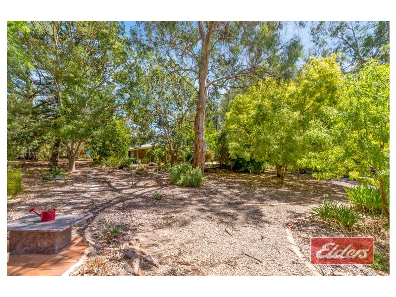 222 Yettie Road, Williamstown SA 5351