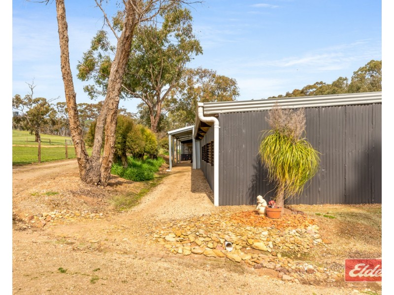 131 Yettie Road, Williamstown SA 5351