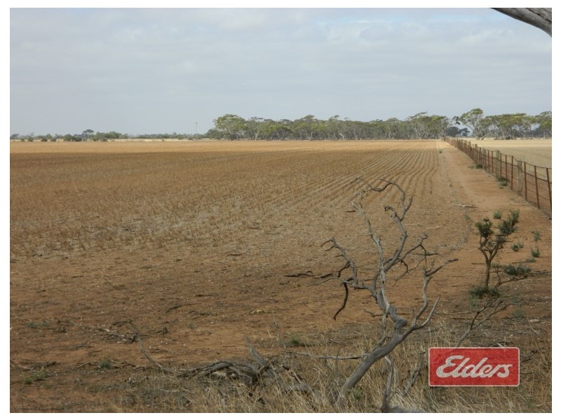 Lot 787 Calomba Road, Mallala SA 5502