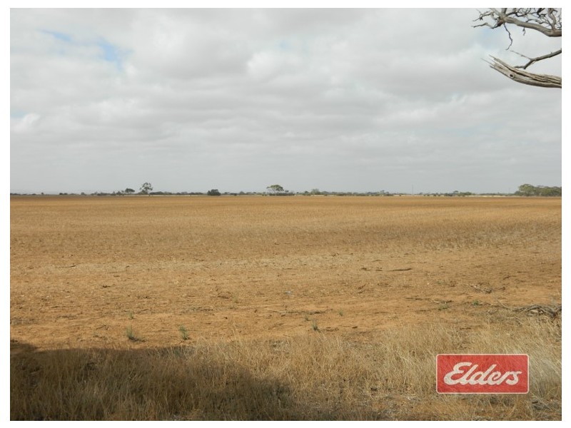 Lot 787 Calomba Road, Mallala SA 5502