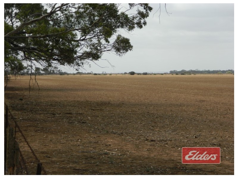 Lot 787 Calomba Road, Mallala SA 5502
