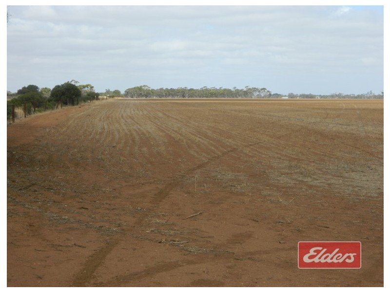 Lot 787 Calomba Road, Mallala SA 5502