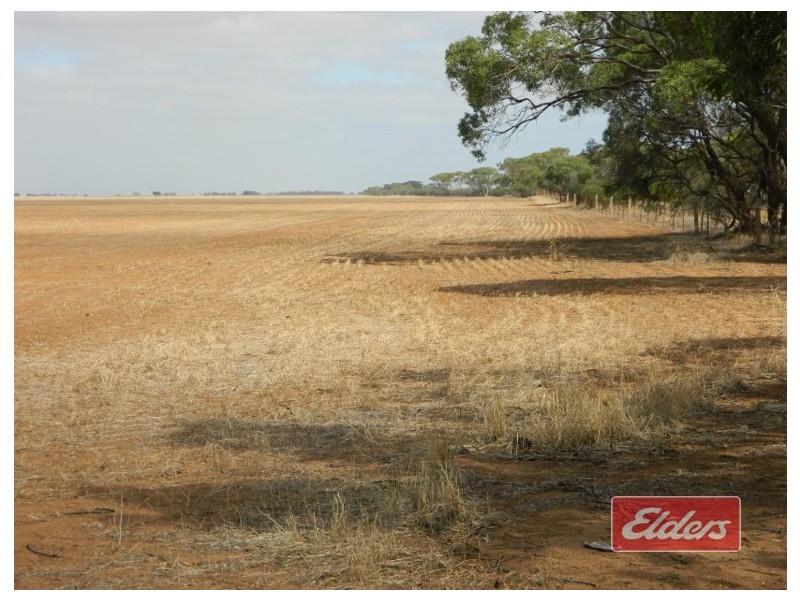 Lot 787 Calomba Road, Mallala SA 5502