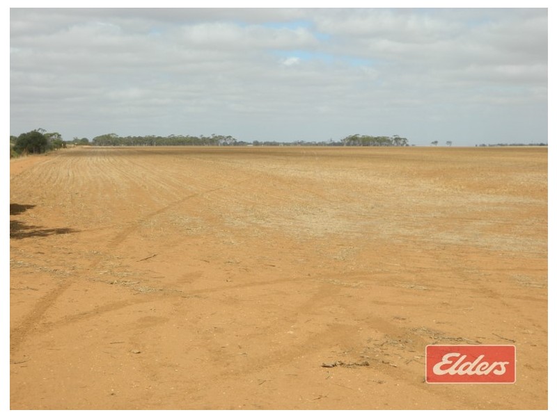 Lot 787 Calomba Road, Mallala SA 5502