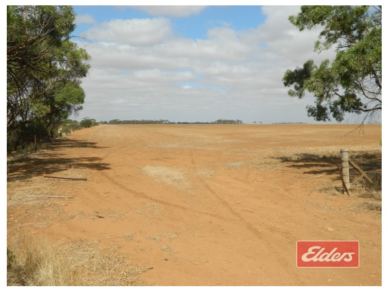 Lot 787 Calomba Road, Mallala SA 5502