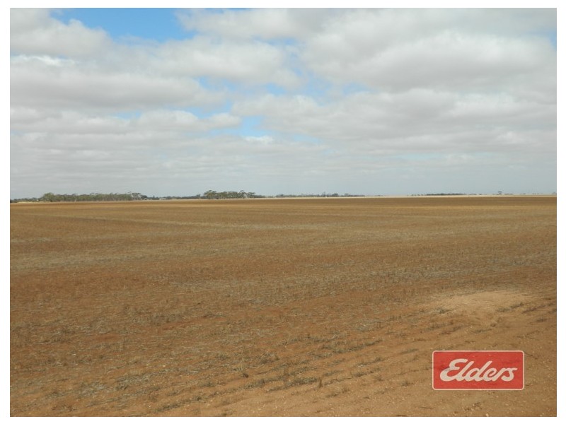 Lot 787 Calomba Road, Mallala SA 5502
