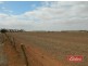 Lot 787 Calomba Road, Mallala SA 5502