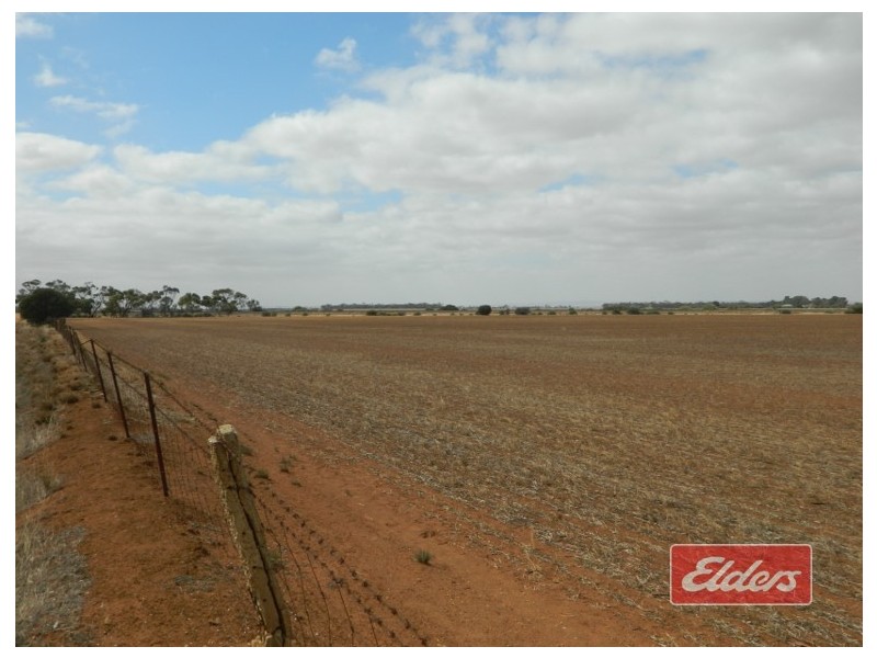 Lot 787 Calomba Road, Mallala SA 5502