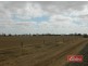 Lot 787 Calomba Road, Mallala SA 5502