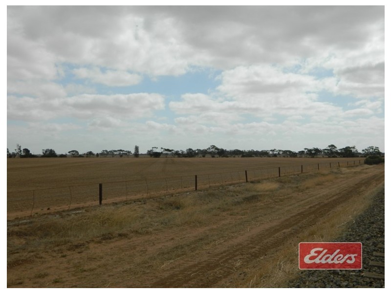 Lot 787 Calomba Road, Mallala SA 5502