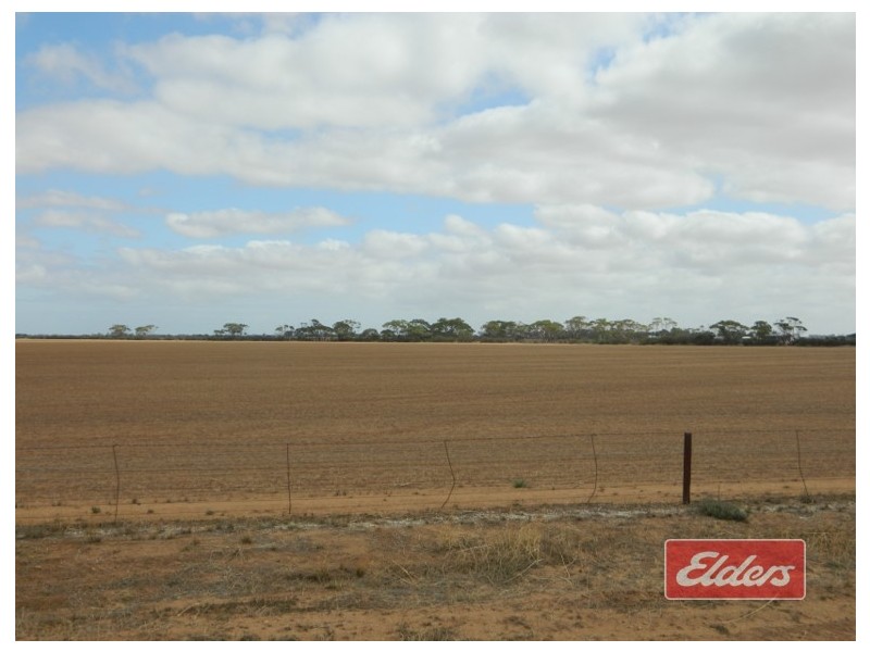 Lot 787 Calomba Road, Mallala SA 5502
