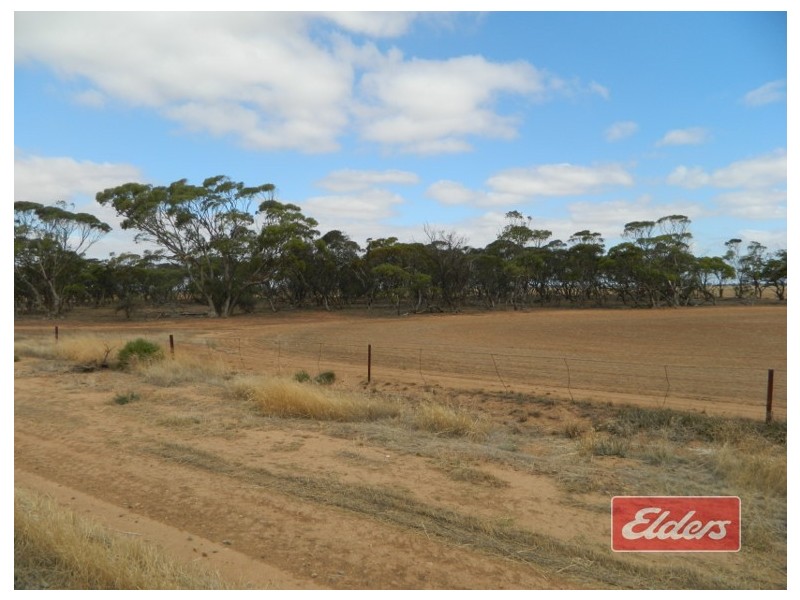 Lot 787 Calomba Road, Mallala SA 5502