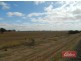 Lot 787 Calomba Road, Mallala SA 5502