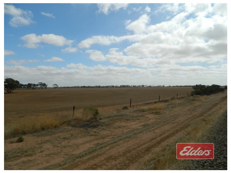 Lot 787 Calomba Road, Mallala SA 5502