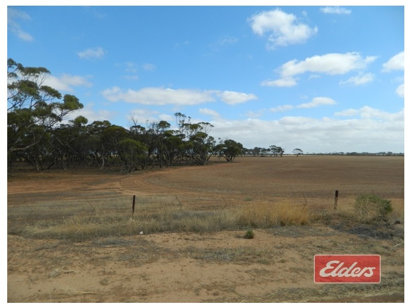 Lot 787 Calomba Road, Mallala SA 5502