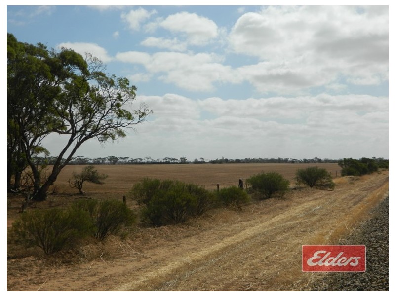 Lot 787 Calomba Road, Mallala SA 5502