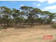Lot 787 Calomba Road, Mallala SA 5502