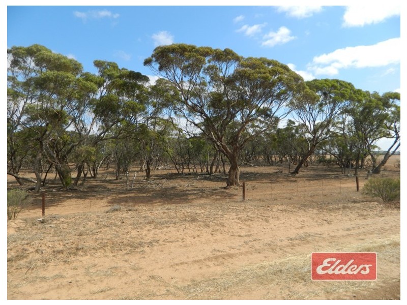 Lot 787 Calomba Road, Mallala SA 5502