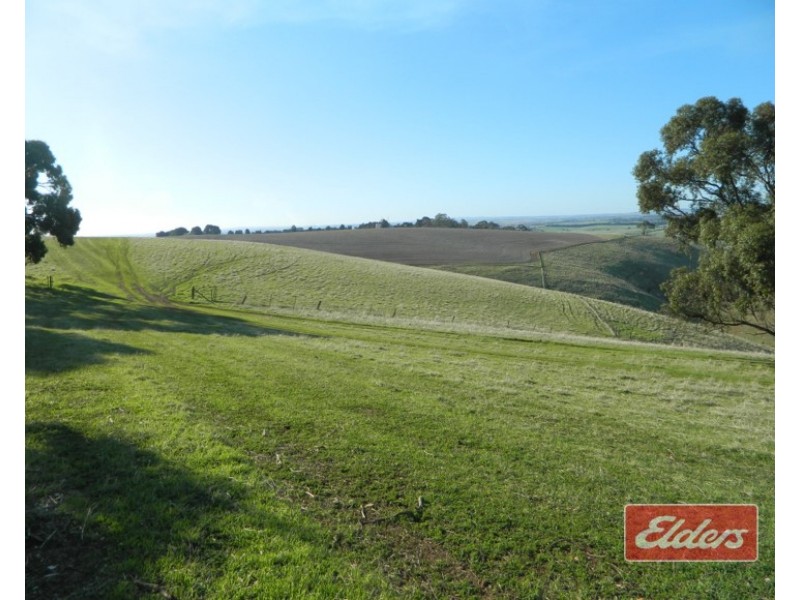 Lot 204 Gawler One Tree Hill Road, One Tree Hill SA 5114