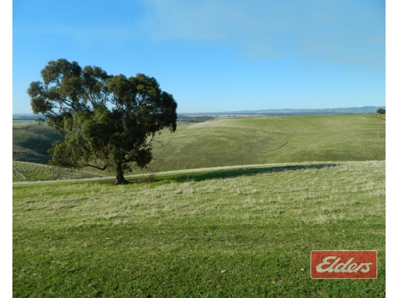 Lot 204 Gawler One Tree Hill Road, One Tree Hill SA 5114