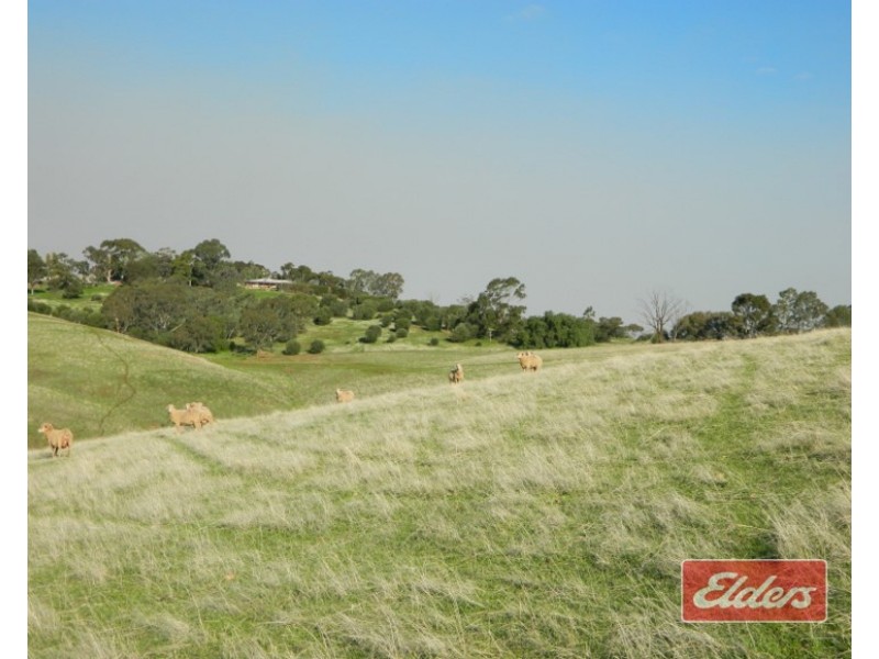 Lot 204 Gawler One Tree Hill Road, One Tree Hill SA 5114
