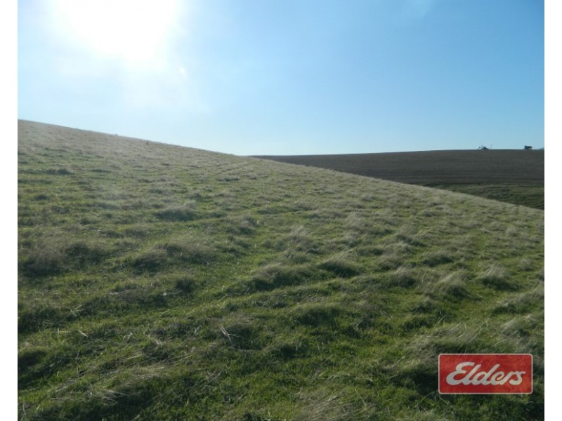 Lot 204 Gawler One Tree Hill Road, One Tree Hill SA 5114