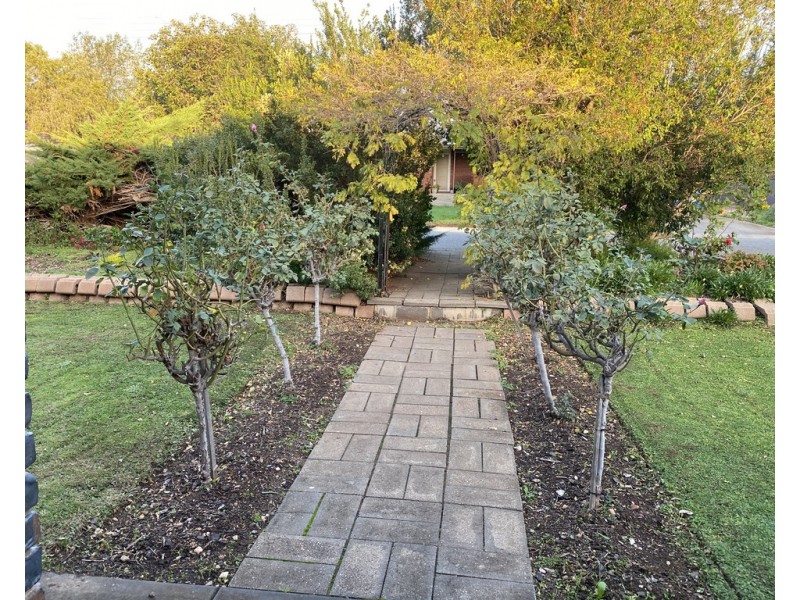 16 JENNIFER STREET, Evanston Park SA 5116