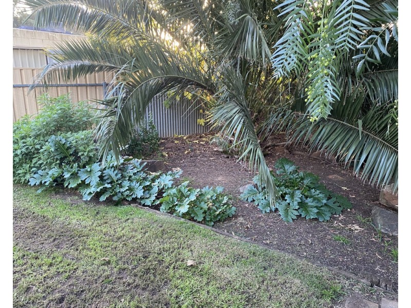 16 JENNIFER STREET, Evanston Park SA 5116