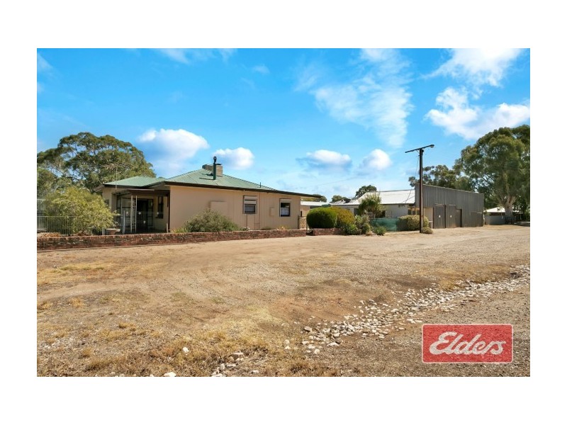 21 Burrows Street, Willaston SA 5118