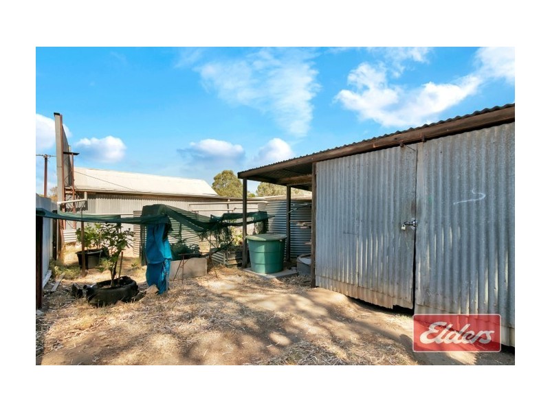 21 Burrows Street, Willaston SA 5118