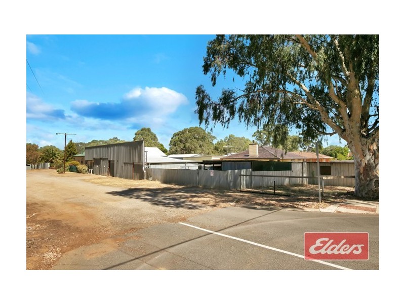 21 Burrows Street, Willaston SA 5118