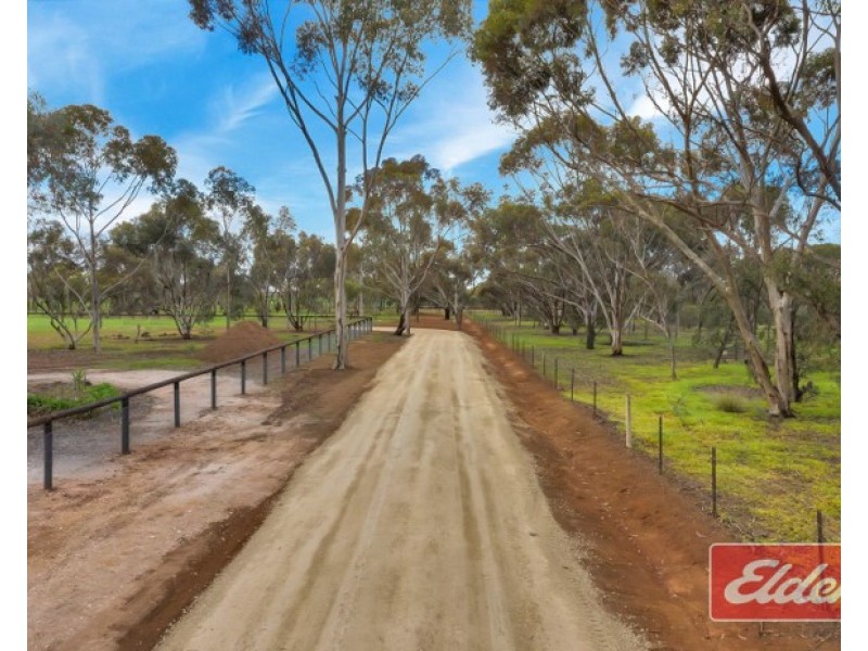 30B Ronda Avenue, Roseworthy SA 5371