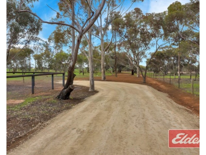 30B Ronda Avenue, Roseworthy SA 5371