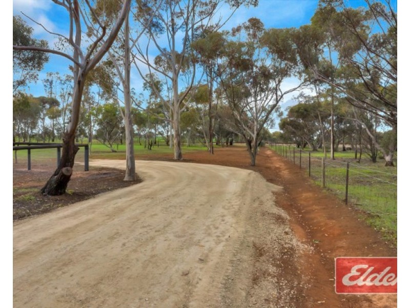 30B Ronda Avenue, Roseworthy SA 5371