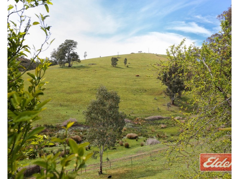 241 Hill Road, Forreston SA 5233