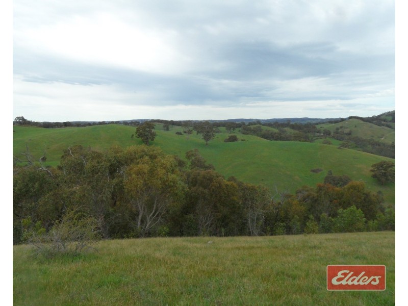 241 Hill Road, Forreston SA 5233