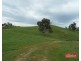 241 Hill Road, Forreston SA 5233