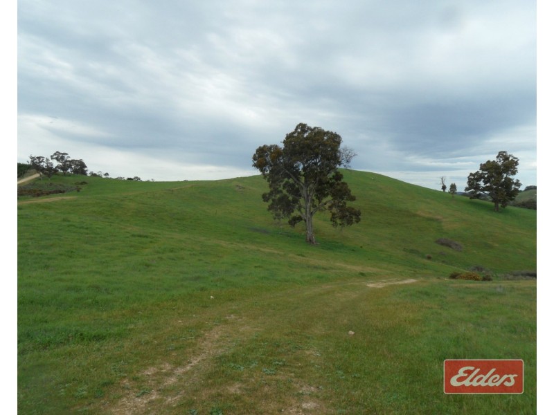 241 Hill Road, Forreston SA 5233