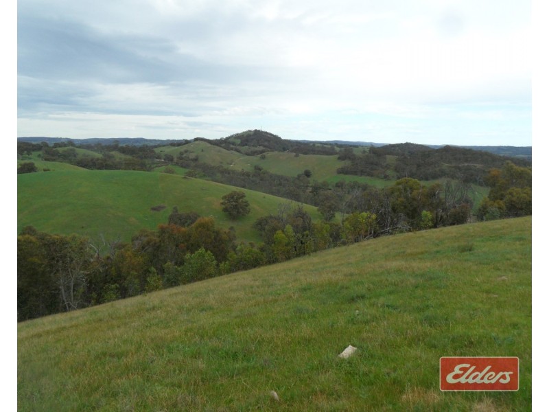 241 Hill Road, Forreston SA 5233