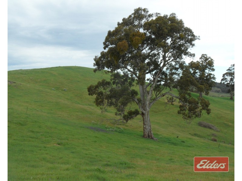 241 Hill Road, Forreston SA 5233