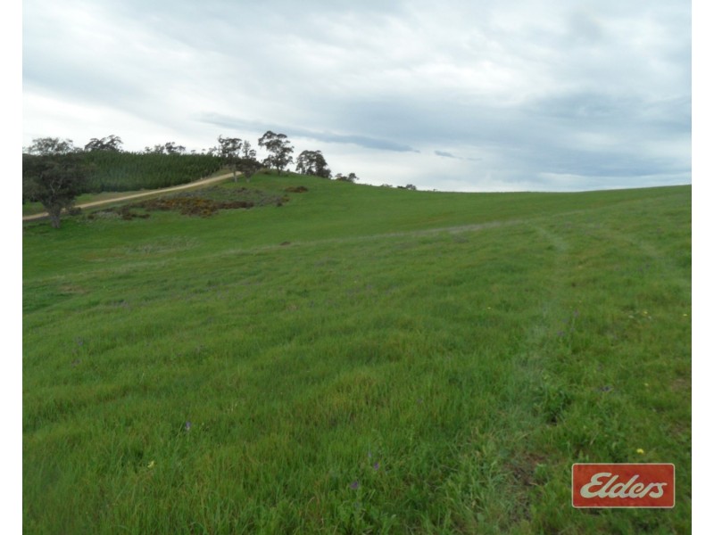 241 Hill Road, Forreston SA 5233