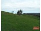 241 Hill Road, Forreston SA 5233