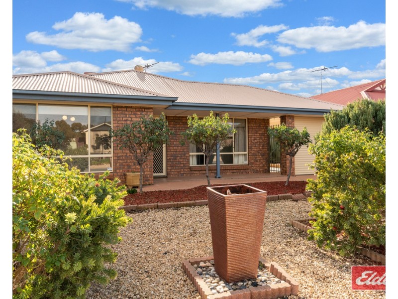 2 Selway Place, Evanston Park SA 5116